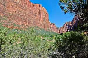 USA Zion<br>NIKON D4, 24 mm, 100 ISO,  1/160 sec,  f : 8 